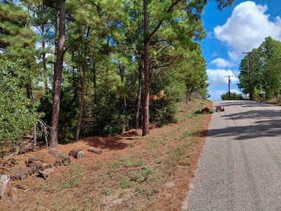 Photo 3 - Lot 6 & 7 Wahane LN Photo 3 of 28 at Lot 6 & 7 Wahane LN - Bastrop, Bastrop, TX