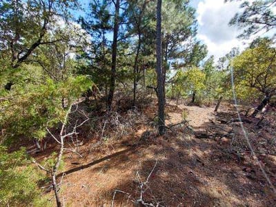 Photo 4 - Lot 6 & 7 Wahane LN Photo 4 of 28 at Lot 6 & 7 Wahane LN - Bastrop, Bastrop, TX