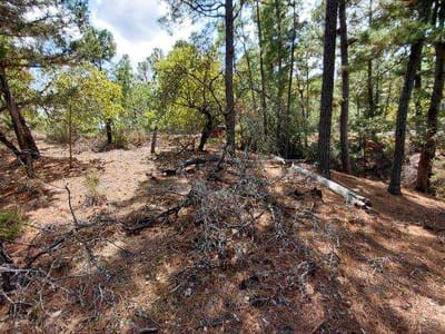 Photo 5 - Lot 6 & 7 Wahane LN Photo 5 of 28 at Lot 6 & 7 Wahane LN - Bastrop, Bastrop, TX