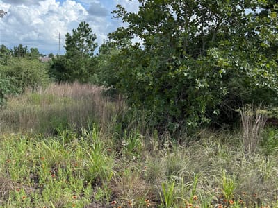 Photo 2 - Lots 88, 89, 90 Pintail LN Photo 2 of 7 at Lots 88, 89, 90 Pintail LN - Bastrop, Bastrop, TX