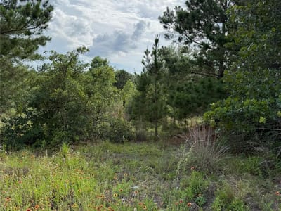Photo 4 - Lots 88, 89, 90 Pintail LN Photo 4 of 7 at Lots 88, 89, 90 Pintail LN - Bastrop, Bastrop, TX