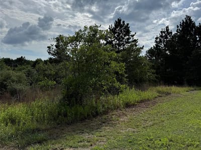 Photo 5 - Lots 88, 89, 90 Pintail LN Photo 5 of 7 at Lots 88, 89, 90 Pintail LN - Bastrop, Bastrop, TX