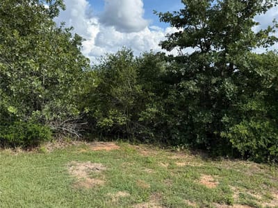 Property photo 2 at Lots 89-90 Pintail LN - Circle D, Bastrop, TX
