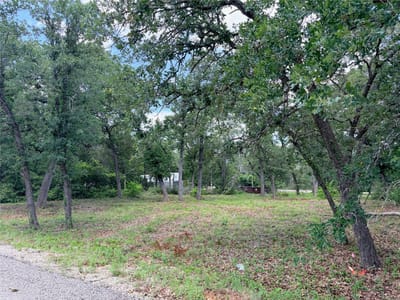 Photo 2 of 7 at Lots-90/91 Arapaho DR - Smithville, Smithville, TX