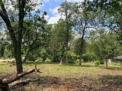 Photo 3 of 7 at Lots-90/91 Arapaho DR - Smithville, Smithville, TX