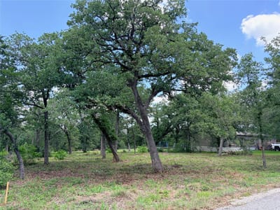 Photo 4 of 7 at Lots-90/91 Arapaho DR - Smithville, Smithville, TX