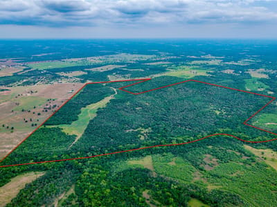 Aerial view - TBD(1) Walter Hoffman Rd Aerial view with aerial parcel boundary overlay at TBD(1) Walter Hoffman Rd - Cedar Creek, Cedar Creek, TX