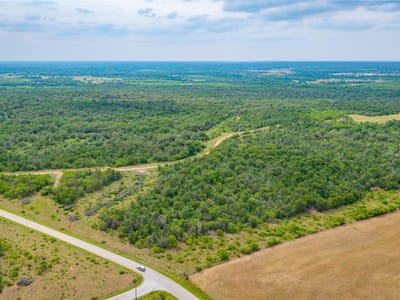 Aerial view - TBD(1) Walter Hoffman Rd Aerial view with roadside acreage aerial and wooded tract at TBD(1) Walter Hoffman Rd - Cedar Creek, Cedar Creek, TX