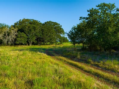 Photo 4 - TBD County Road 243 Photo 4 of 20 at TBD County Road 243 - Florence, Florence, TX