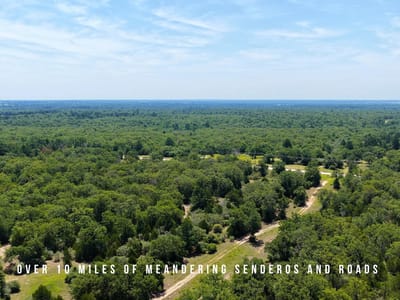 Photo 5 of 24 at TBD County Road 405 (+/- 839 acres) - Lexington, Lexington, TX