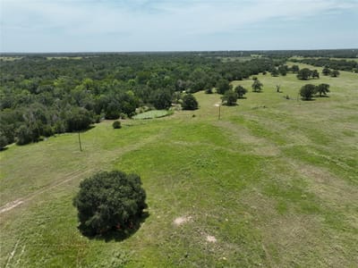 Photo 3 - TBD CR 127 Lot 1, Block 1 County Road 127 Photo 3 of 5 at TBD CR 127 Lot 1, Block 1 County Road 127 - Ledbetter, Ledbetter, TX