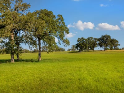 Photo 2 - Tbd Cr 302 Rd Photo 2 of 16 at Tbd Cr 302 Rd - Rockdale, Rockdale, TX