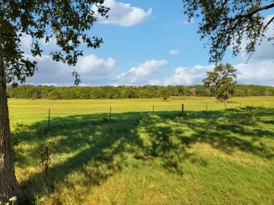 Photo 4 - Tbd Cr 302 Rd Photo 4 of 16 at Tbd Cr 302 Rd - Rockdale, Rockdale, TX