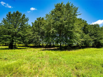 Photo 3 - Tbd Cr 357 Photo 3 of 19 at Tbd Cr 357 - Gause, Gause, TX