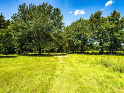 Photo 4 - Tbd Cr 357 Photo 4 of 19 at Tbd Cr 357 - Gause, Gause, TX