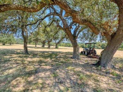Photo 5 - Tbd D N Watts Ln Photo 5 of 27 at Tbd D N Watts Ln - Belton, Belton, TX