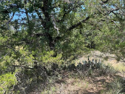 Photo 5 - TBD W. Castlelakes DR Photo 5 of 38 at TBD W. Castlelakes DR - Granite Shoals, Granite Shoals, TX