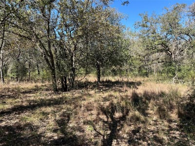 Photo 2 of 9 at TBD Flash CIR - Luling, Luling, TX