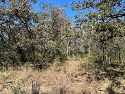 Photo 3 of 9 at TBD Flash CIR - Luling, Luling, TX