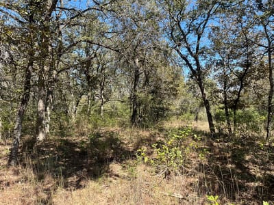 Photo 4 of 9 at TBD Flash CIR - Luling, Luling, TX