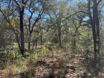 Photo 5 of 9 at TBD Flash CIR - Luling, Luling, TX
