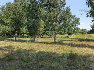 Photo 4 of 37 at Tbd FM 1176 S - Santa Anna, Santa Anna, TX