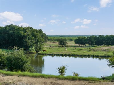 Photo 5 of 37 at Tbd FM 1176 S - Santa Anna, Santa Anna, TX