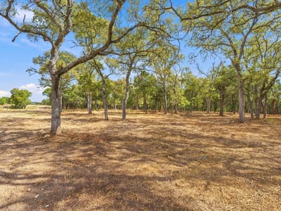 Photo 5 - Tbd FM 150 Photo 5 of 16 at Tbd FM 150 - Driftwood, Driftwood, TX
