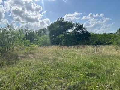 Photo 2 of 11 at TBD Fm-2814 - Waelder, Waelder, TX