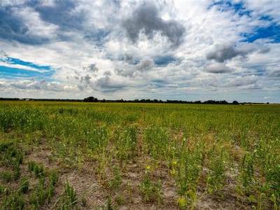 Photo 2 - TBD FM 3061 Unit #B Photo 2 of 20 at TBD FM 3061 Unit #B - Thorndale, Thorndale, TX