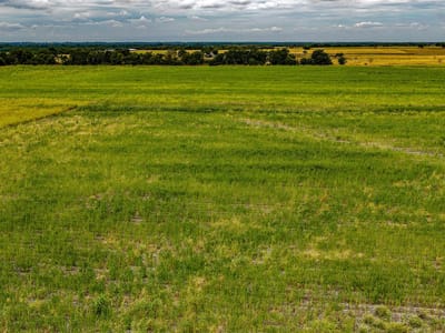 Photo 5 - TBD FM 3061 Unit #B Photo 5 of 20 at TBD FM 3061 Unit #B - Thorndale, Thorndale, TX
