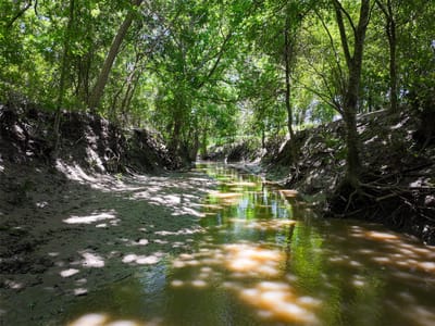 Photo 4 of 29 at TBD FM 86 Tract 1 Highway - Luling, Luling, TX