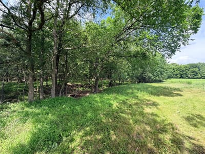 Photo 5 of 37 at TBD FM 86 Tract 1, 2, 3 FM 86 Highway - Luling, Luling, TX