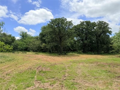 Photo 5 of 24 at TBD FM 86 Tract 5 Highway - Luling, Luling, TX