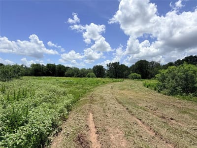 Photo 4 - TBD FM 86 Tract 7 Highway Photo 4 of 23 at TBD FM 86 Tract 7 Highway - Luling, Luling, TX