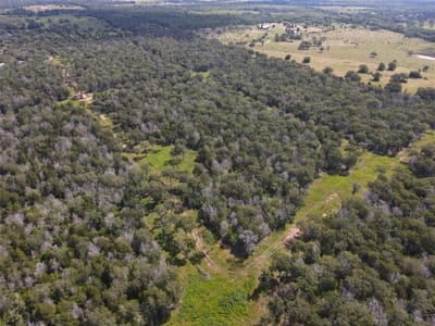 Photo 2 of 13 at TBD High Crossing Rd - TRACT 8 - Smithville, Smithville, TX