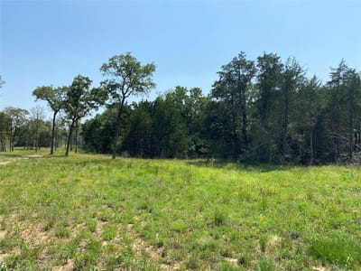Photo 3 of 13 at TBD High Crossing Rd - TRACT 8 - Smithville, Smithville, TX