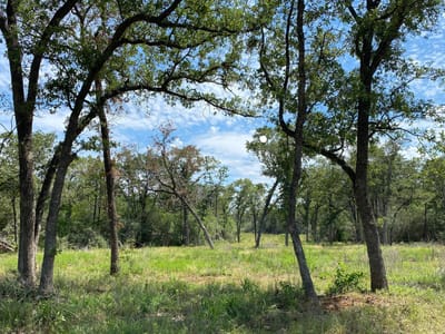 Photo 4 of 13 at TBD High Crossing Rd - TRACT 8 - Smithville, Smithville, TX