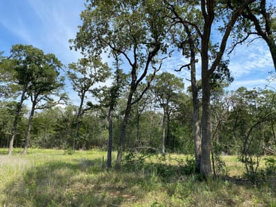 Photo 5 of 13 at TBD High Crossing Rd - TRACT 8 - Smithville, Smithville, TX