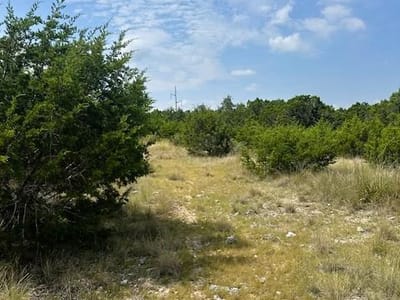 Property photo 3 at TBD Lot 1 Soaring Eagle DR - Fischer, Fischer, TX