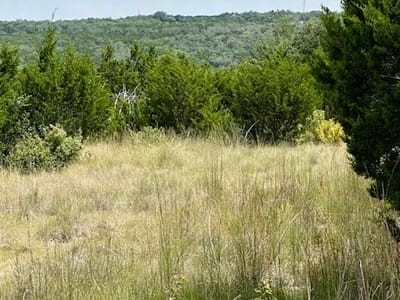 Property photo 4 at TBD Lot 1 Soaring Eagle DR - Fischer, Fischer, TX