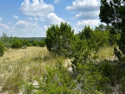 Property photo 5 at TBD Lot 1 Soaring Eagle DR - Fischer, Fischer, TX