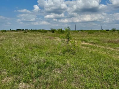 Property photo 2 at 311 Cr 473 - Hosick Ranch, Thrall, TX