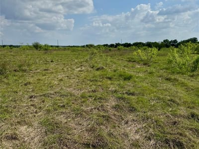 Property photo 4 at 311 Cr 473 - Hosick Ranch, Thrall, TX