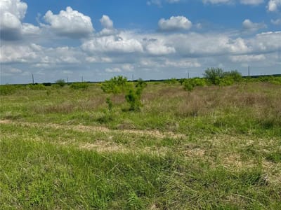 Property photo 5 at 311 Cr 473 - Hosick Ranch, Thrall, TX