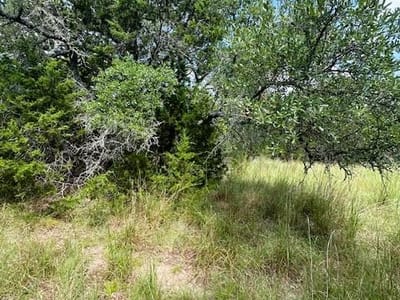 Property photo 2 at TBD LOT 3 Royal Eagle DR - Fischer, Fischer, TX