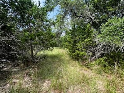 Property photo 3 at TBD LOT 3 Royal Eagle DR - Fischer, Fischer, TX
