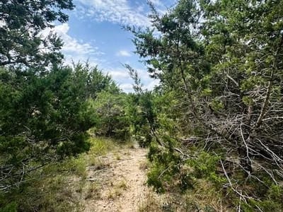 Property photo 4 at TBD LOT 3 Royal Eagle DR - Fischer, Fischer, TX