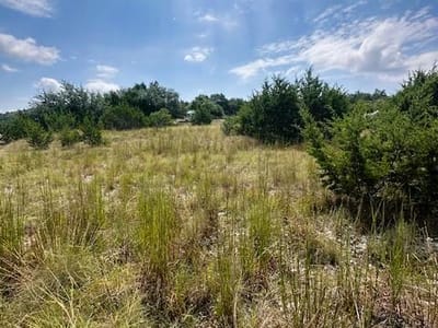 Property photo 5 at TBD LOT 3 Royal Eagle DR - Fischer, Fischer, TX