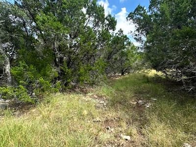 Property photo 2 at TBD LOT 4 Royal Eagle DR - Fischer, Fischer, TX